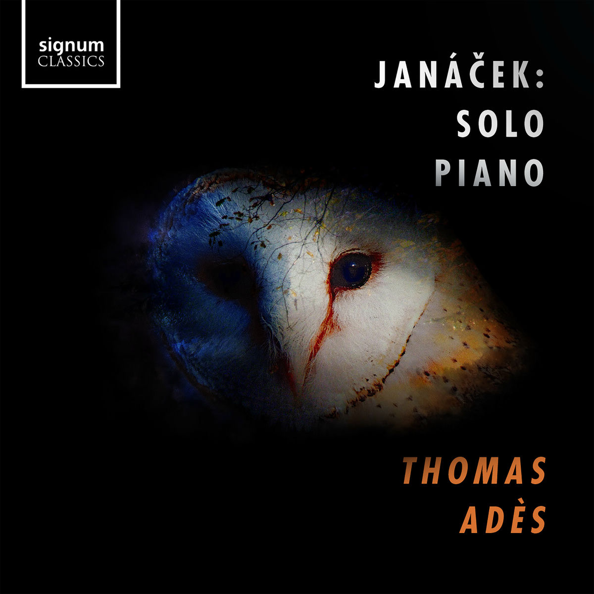 Album cover of Janáček: Solo Piano