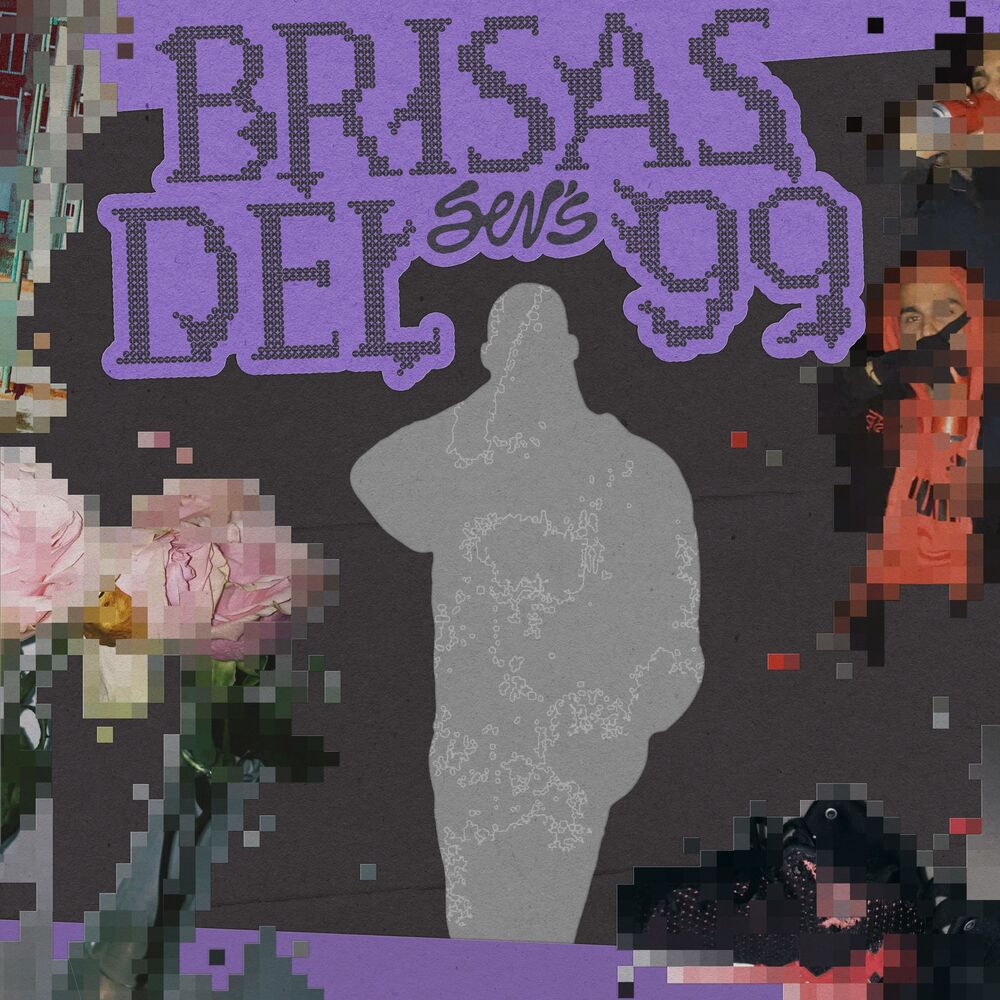Picture of Brisas del 99
