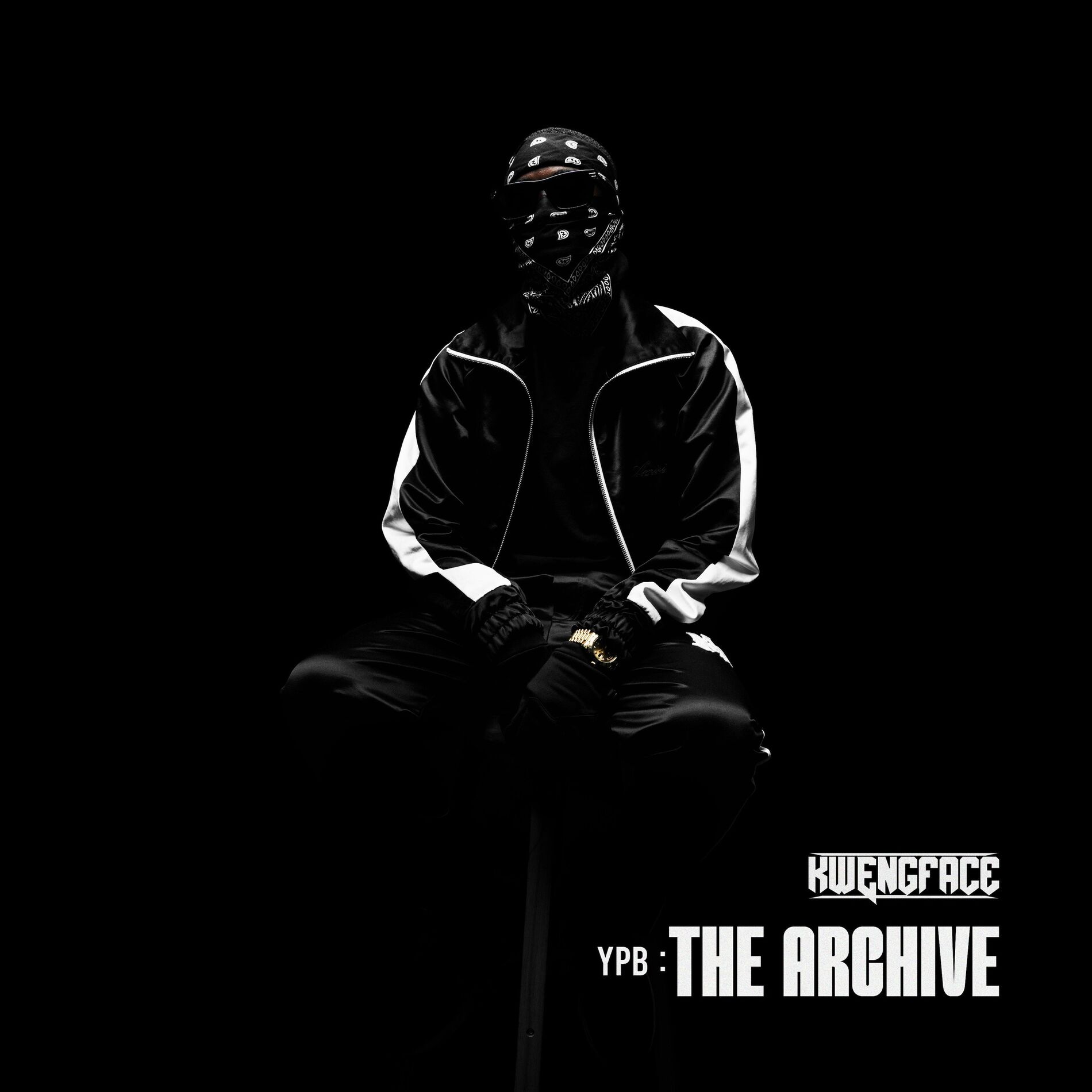 Album cover of YPB: The Archive