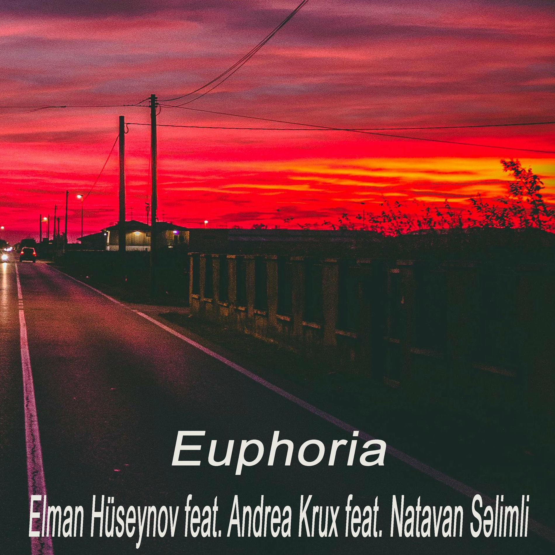 Album cover of Euphoria