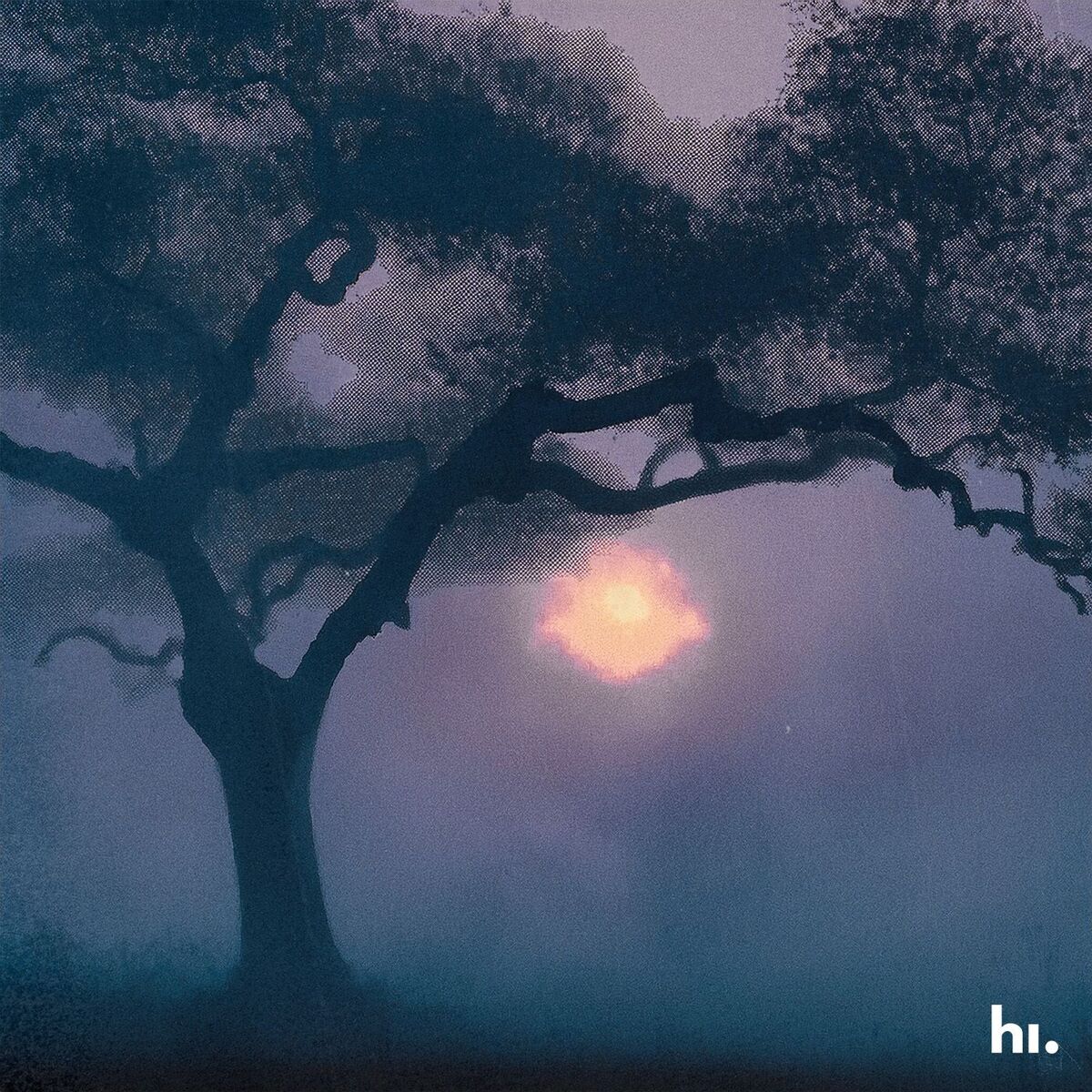 Album cover of Picture Perfect (Slowed + Reverb)