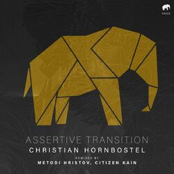 Cover of Assertive Transition