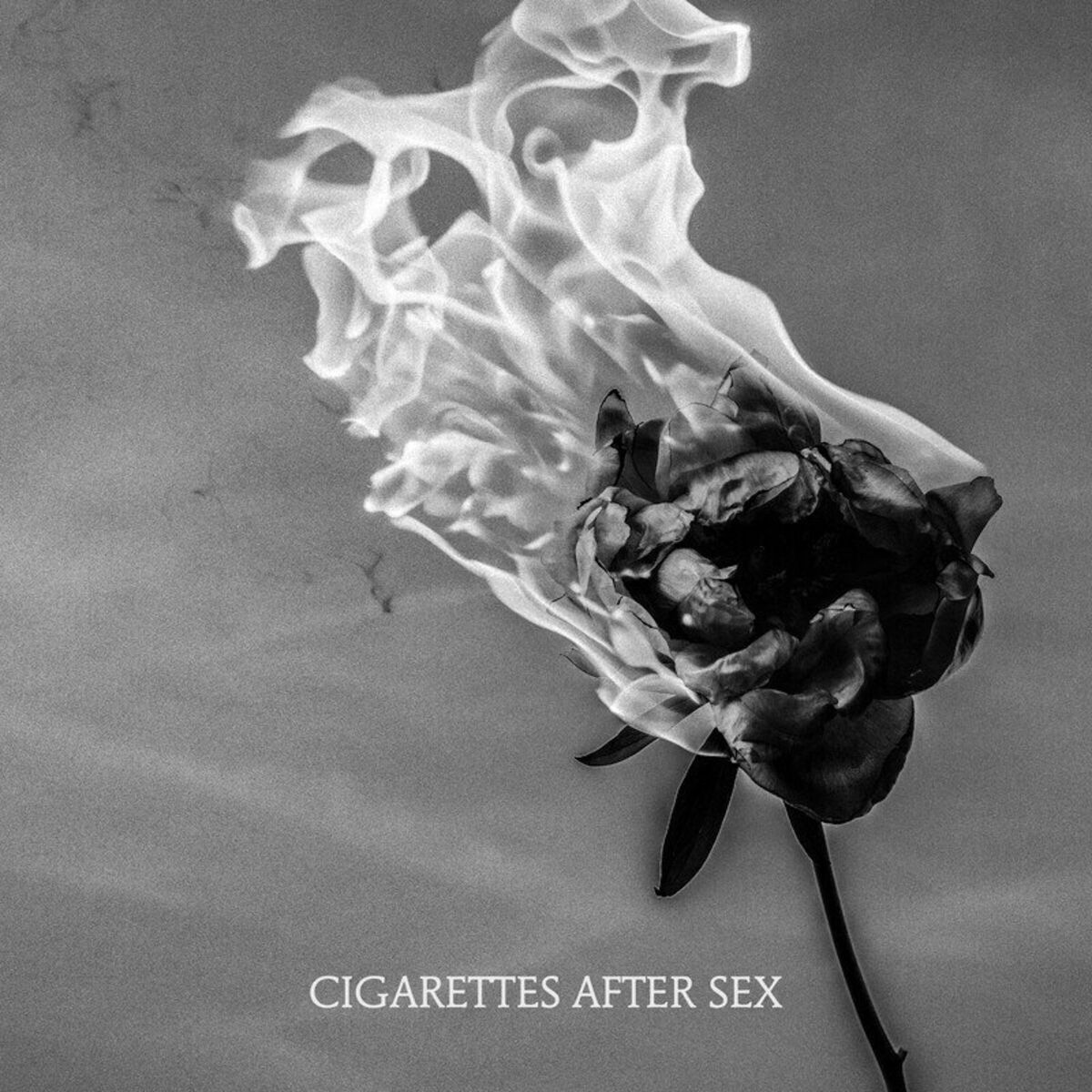 Album cover of You're All I Want