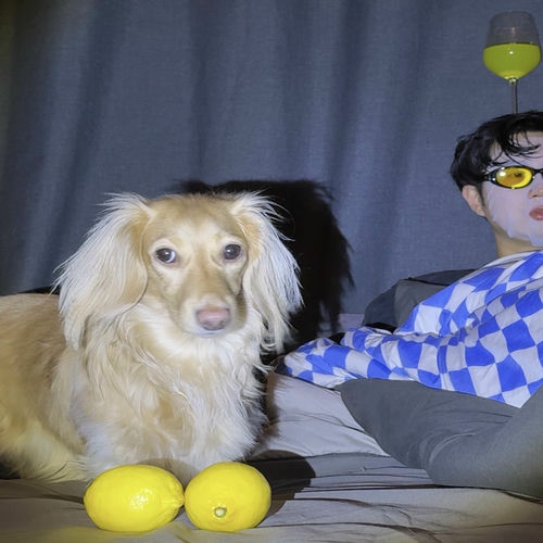 LIUNICORN – I’m your summer, you are my lemonade – Single