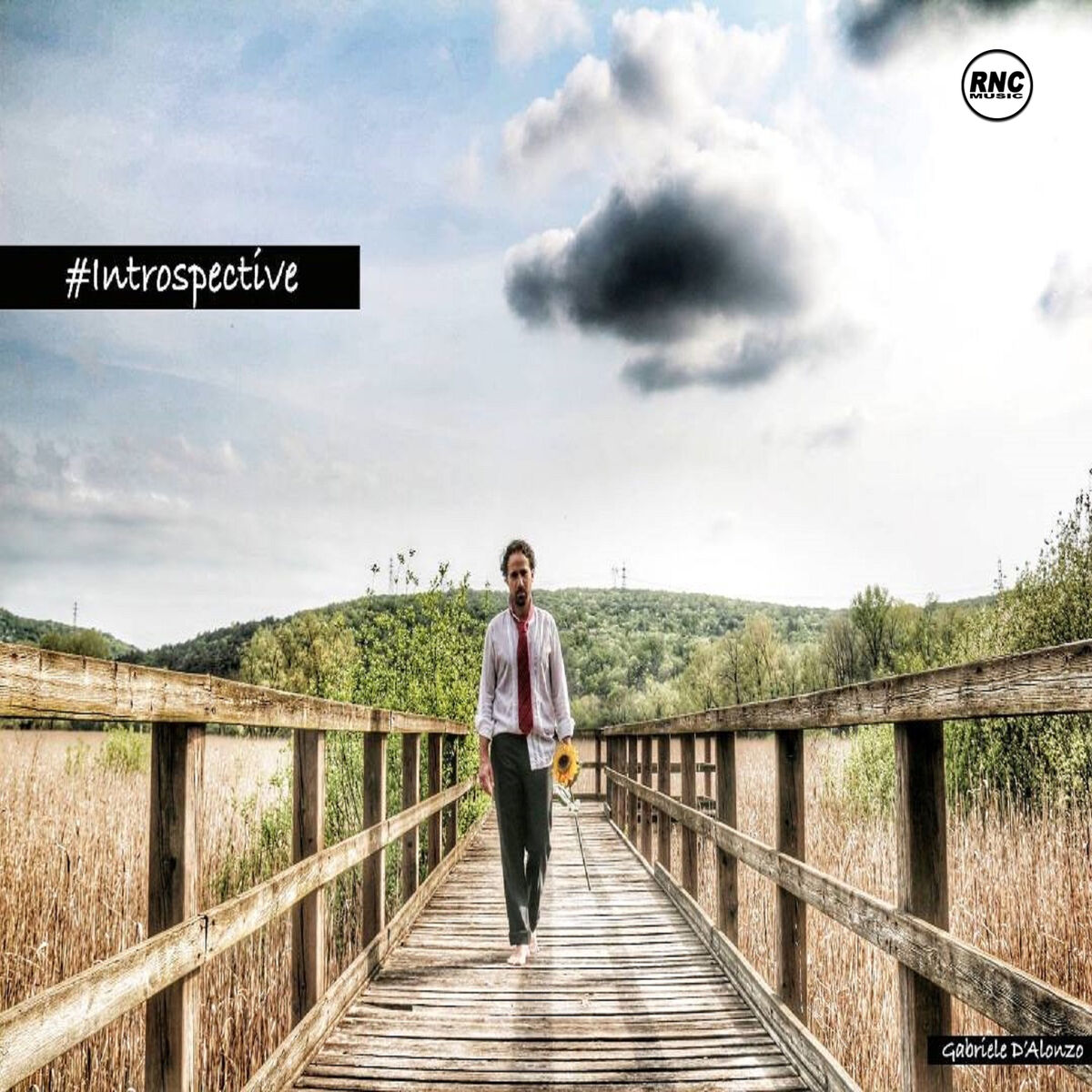Album cover of Introspective