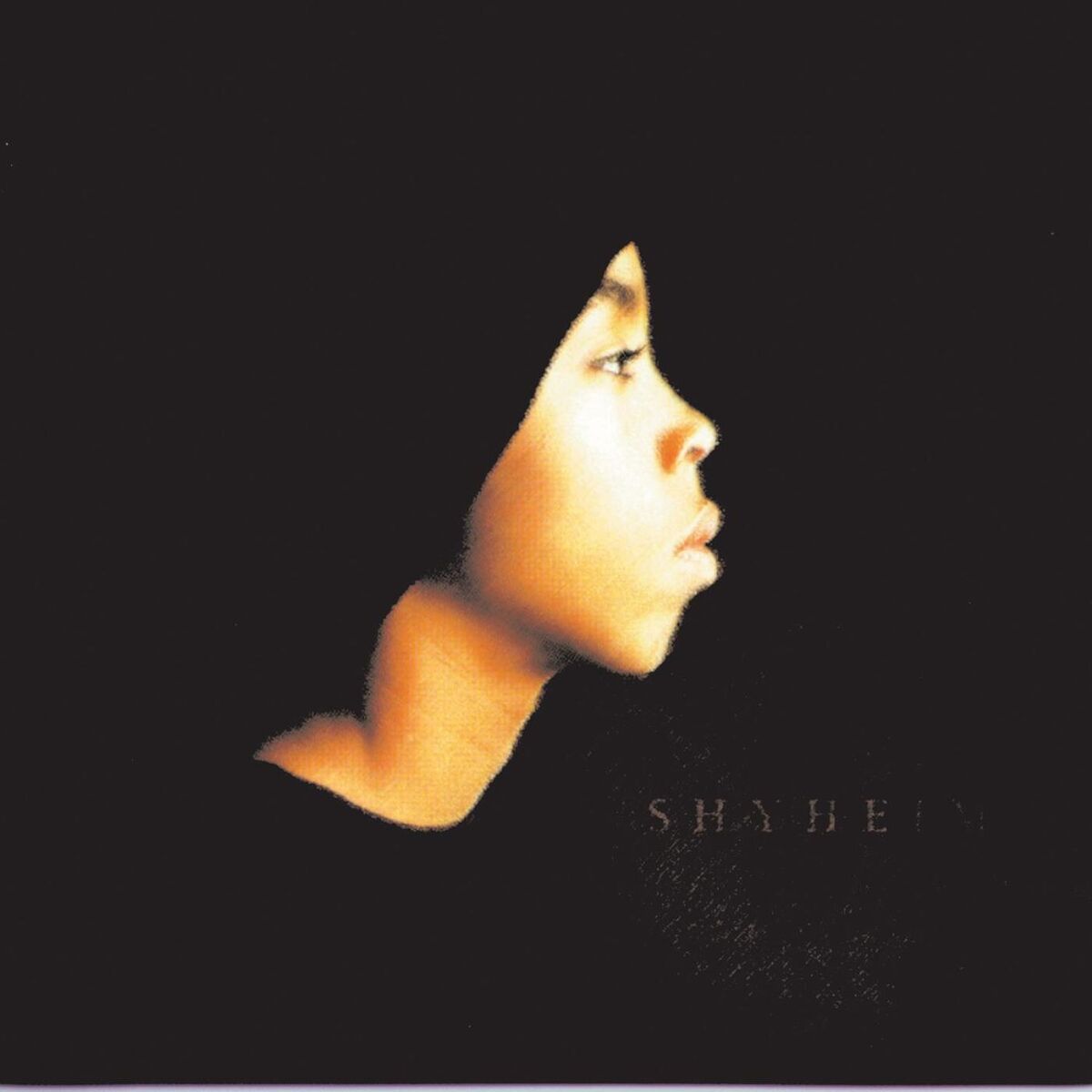 Album cover of Shyheim A.K.A. The Rugged Child