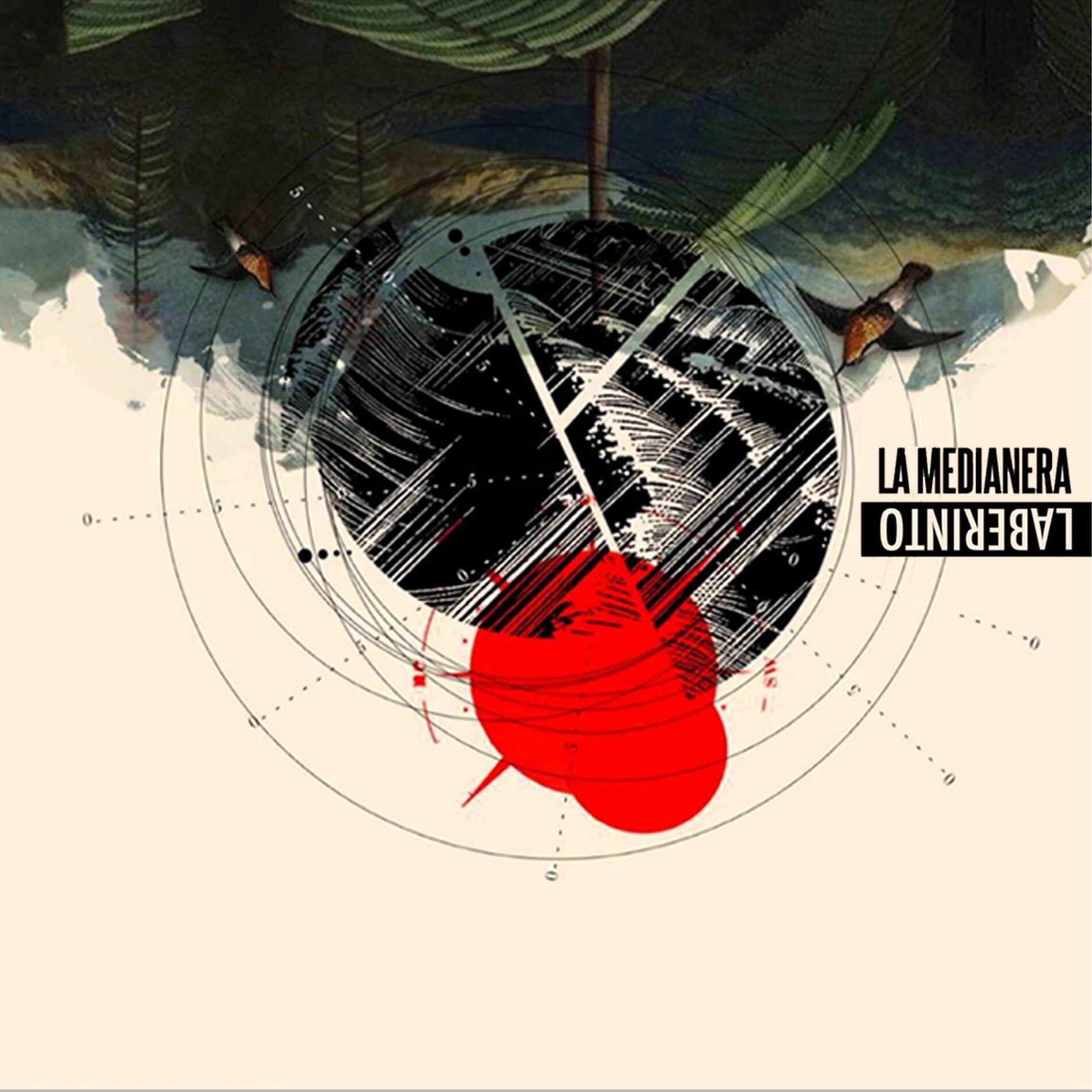 Album cover of Laberinto