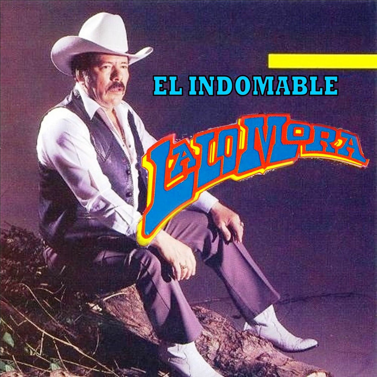 Album cover of El Indomable