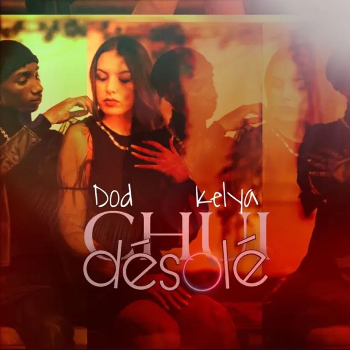 Album cover of Chui désolé