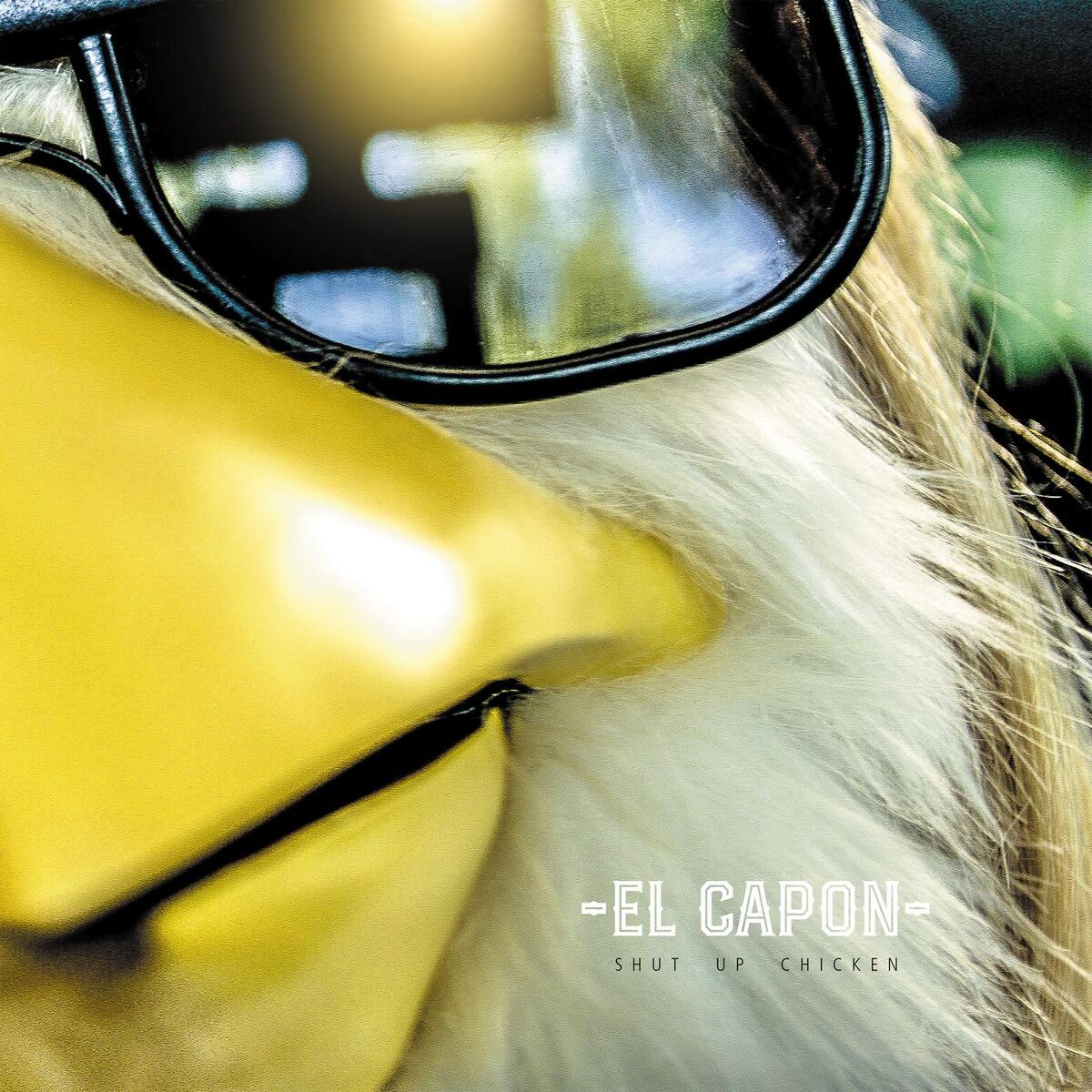 Album cover of Shut up Chicken