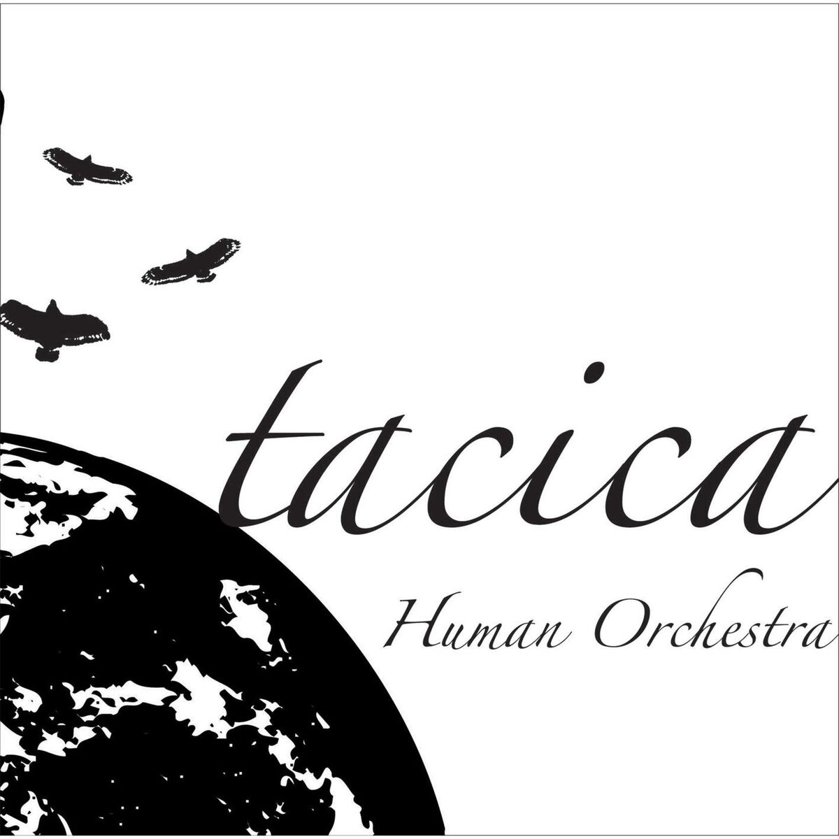 Album cover of Human Orchestra
