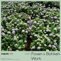 Cover of Work