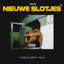 Cover of Nieuwe Slotjes
