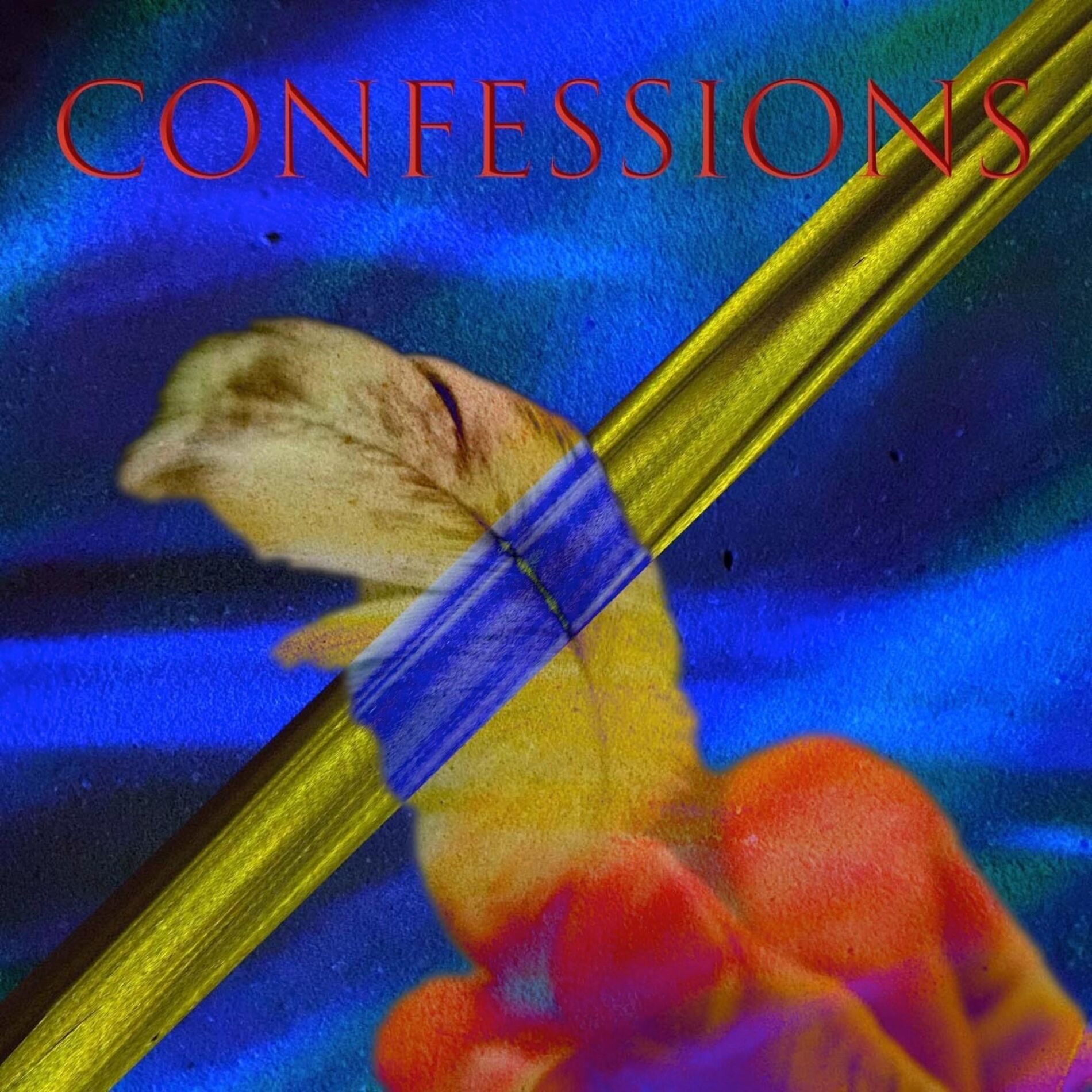 Album cover of Confessions
