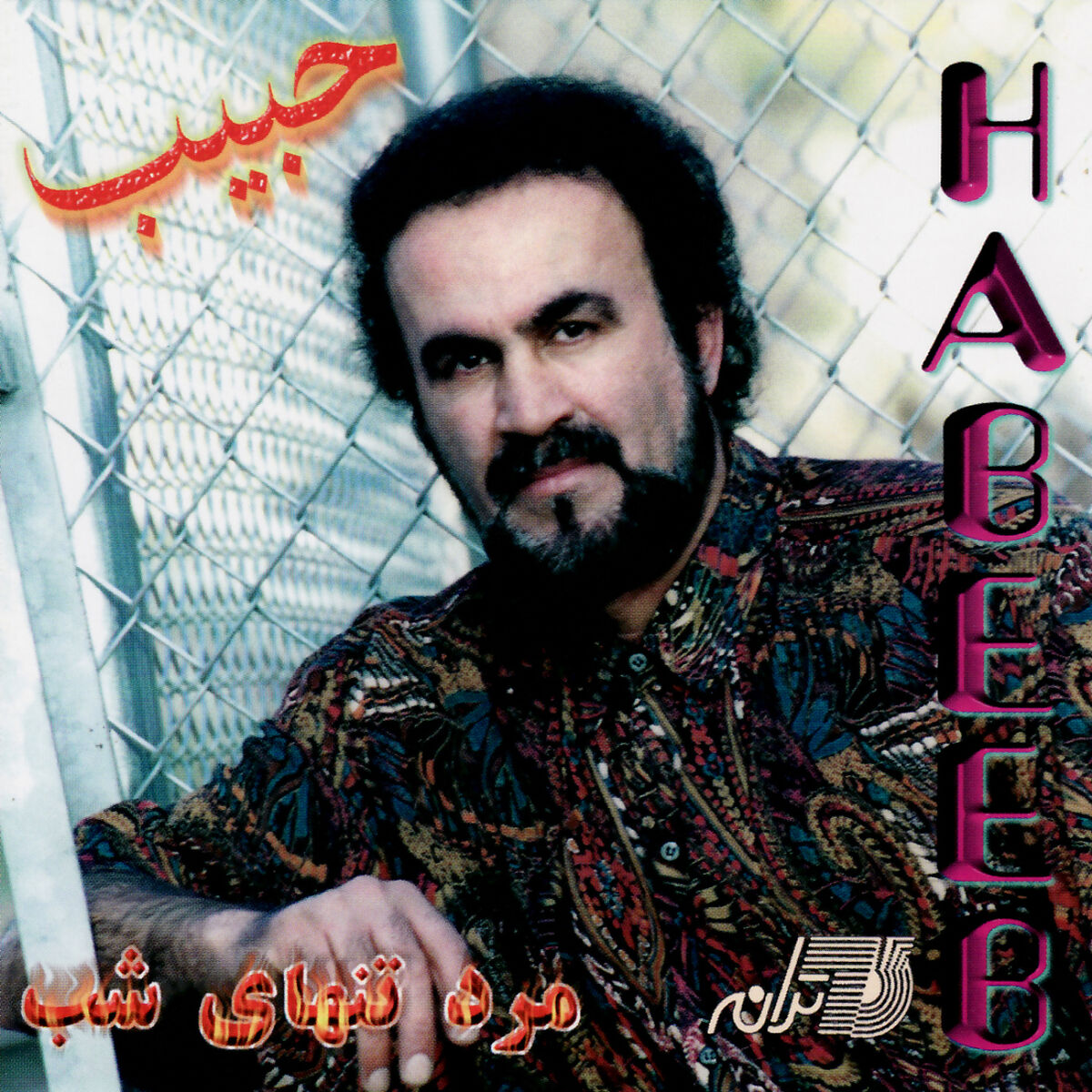 Album cover of Mardeh Tanhayeh Shab