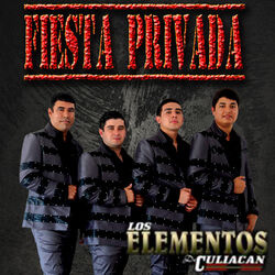 Cover of Fiesta Privada