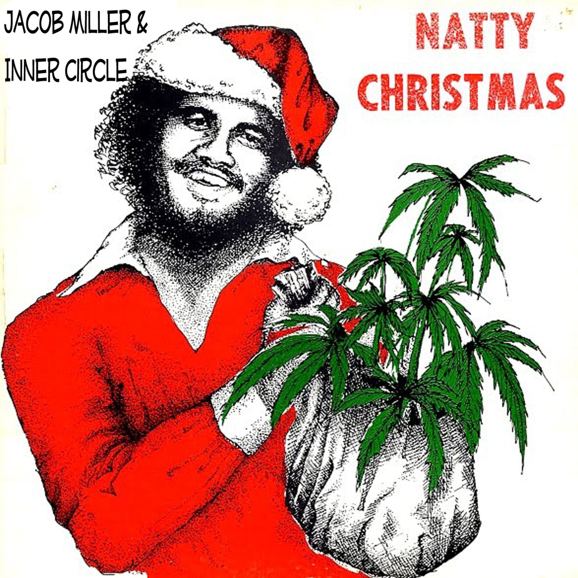 Album cover of Wish You a Merry Christmas (feat. Ray I, Inner Circle)