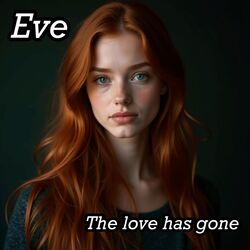 Cover of the love has gone