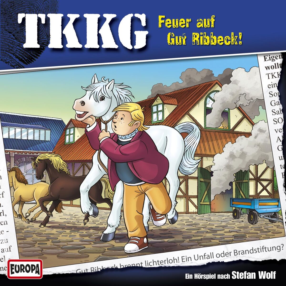 Album cover of 192 - Feuer auf Gut Ribbeck!