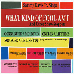 Cover of What Kind Of Fool Am I & Other Show Stoppers