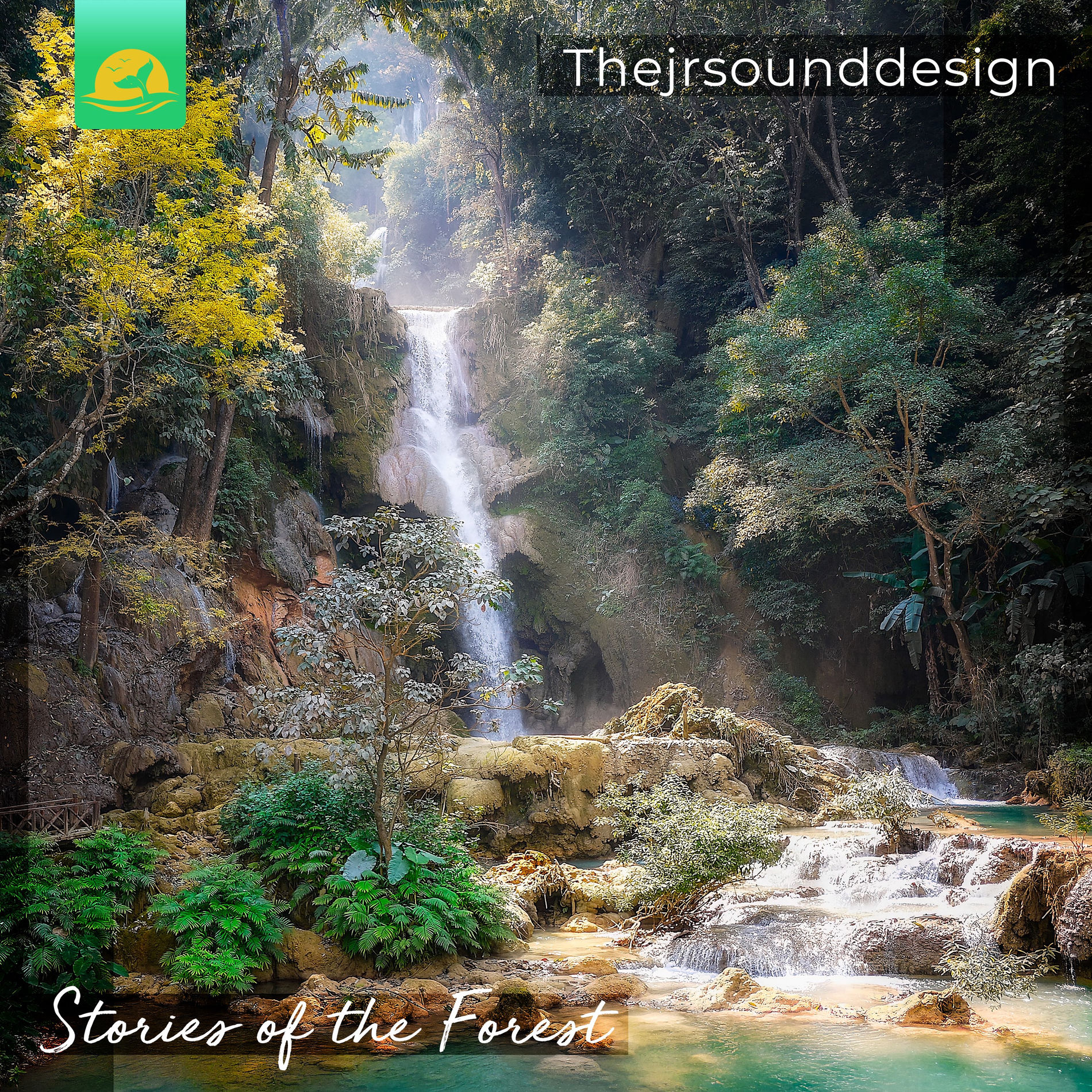 Album cover of Stories of the Forest