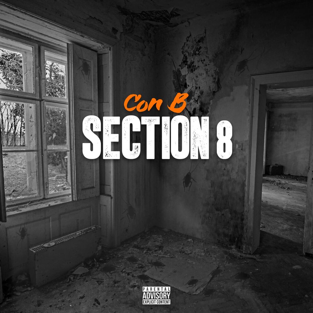 Picture of Section 8