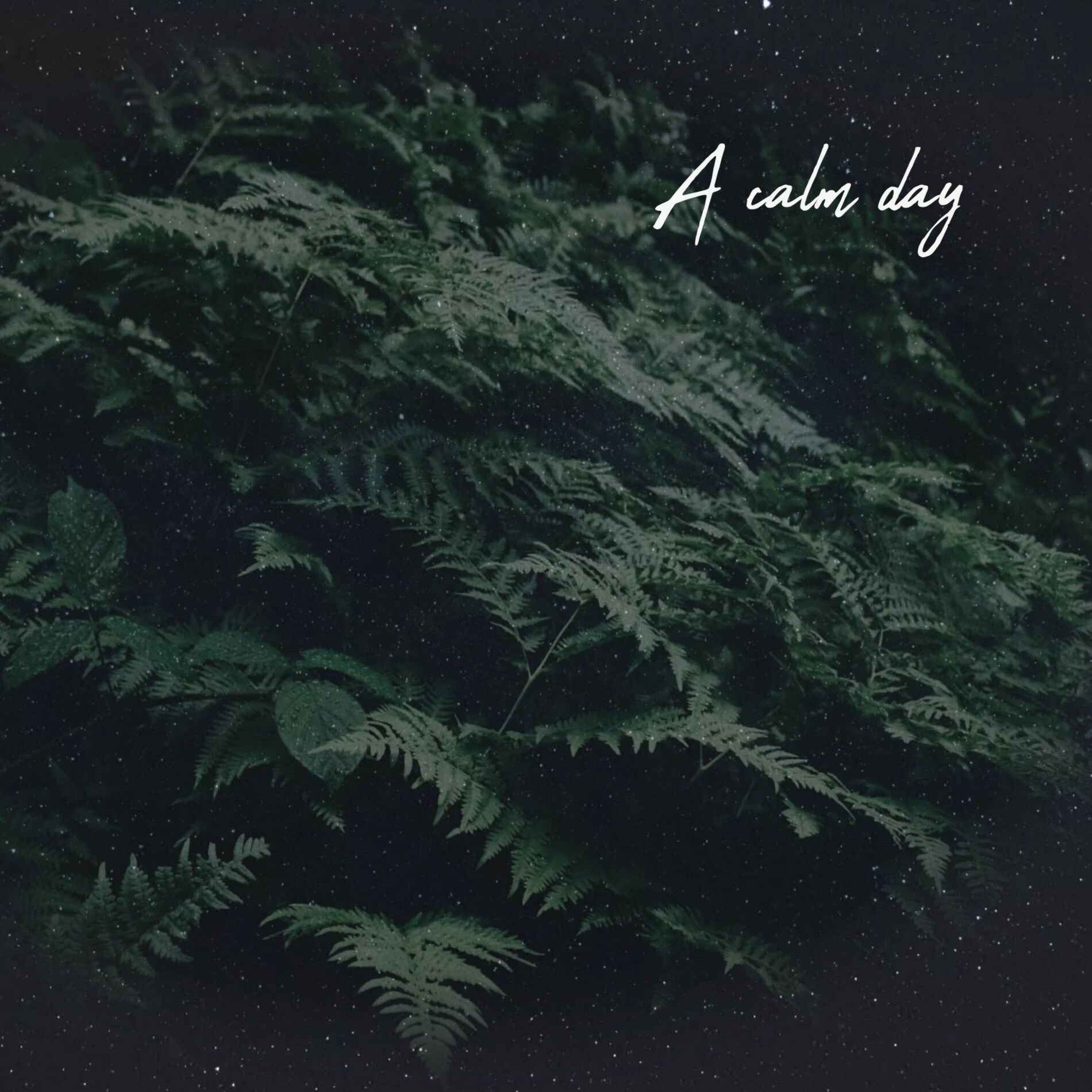Album cover of A calm day