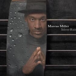 Cover of Silver Rain