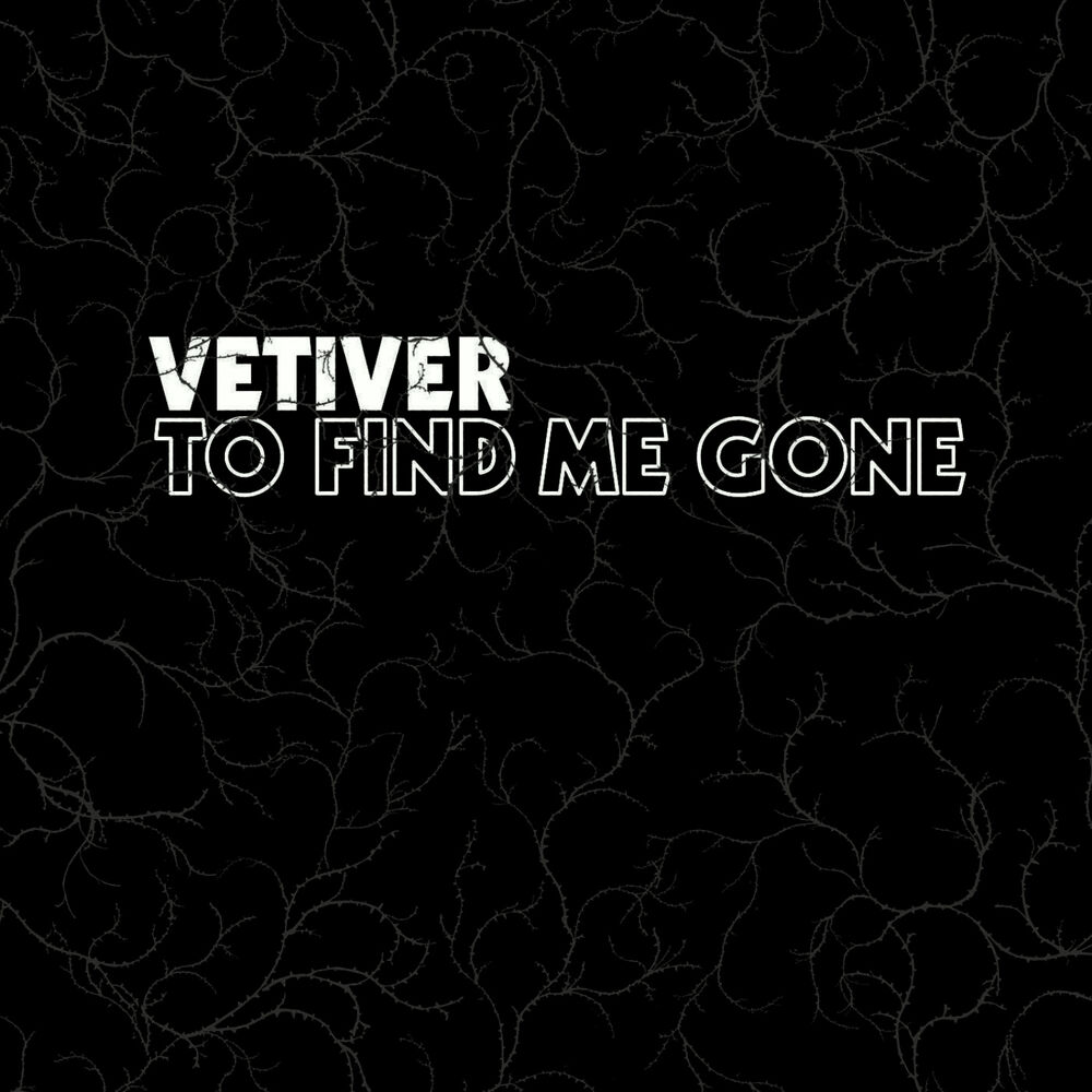 Picture of To Find Me Gone