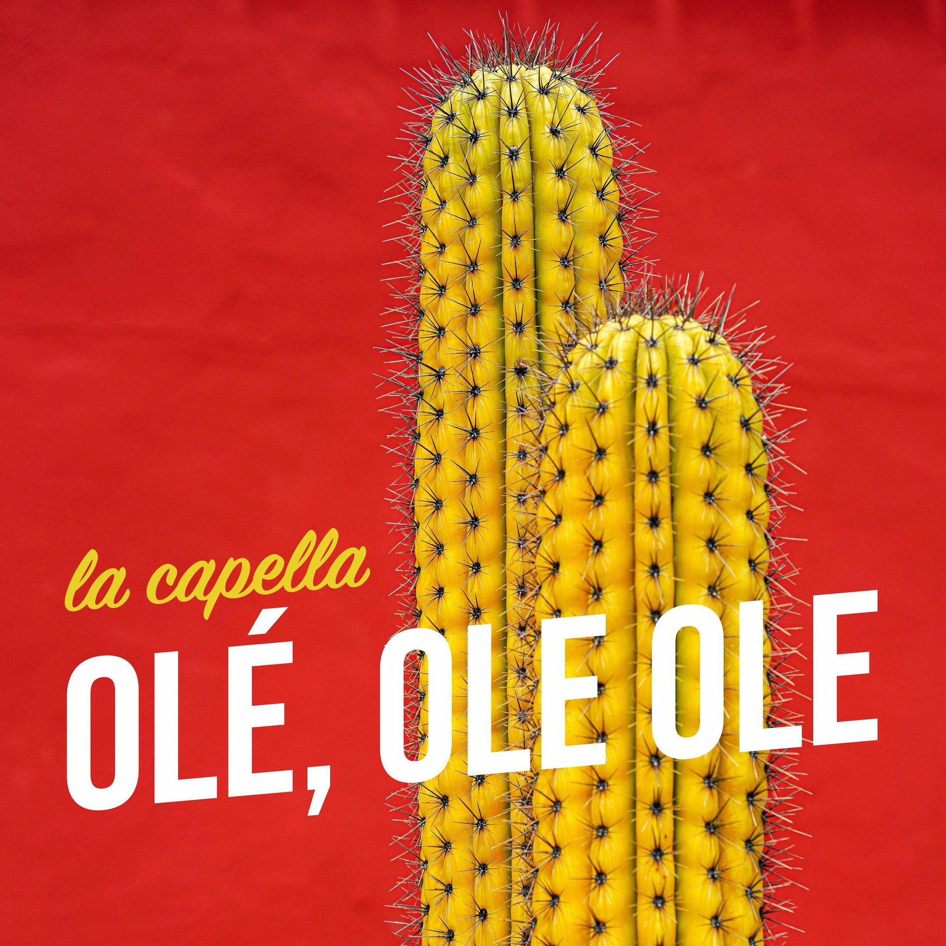 Album cover of OLÉ, OLE OLE