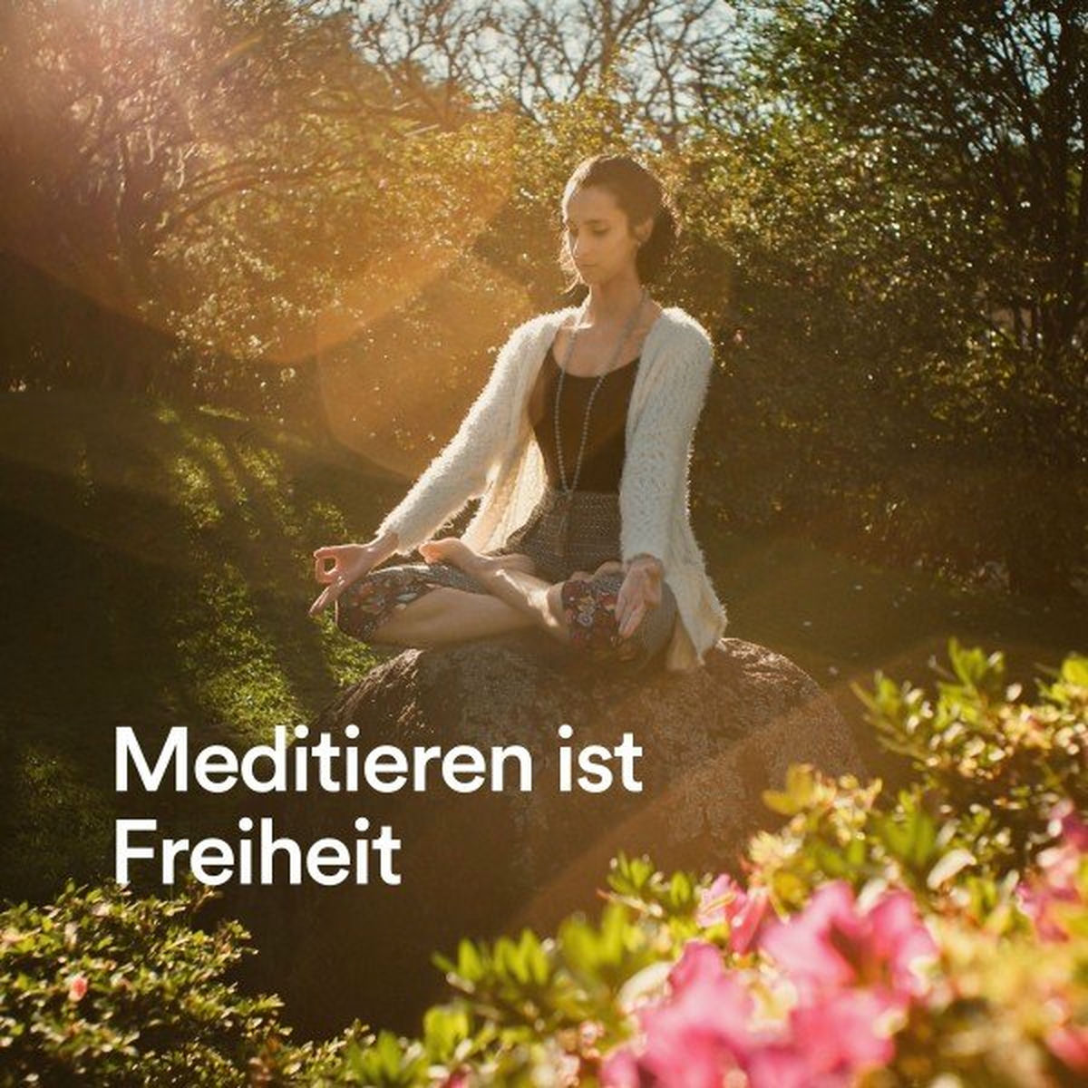 Album cover of Meditieren ist Freiheit