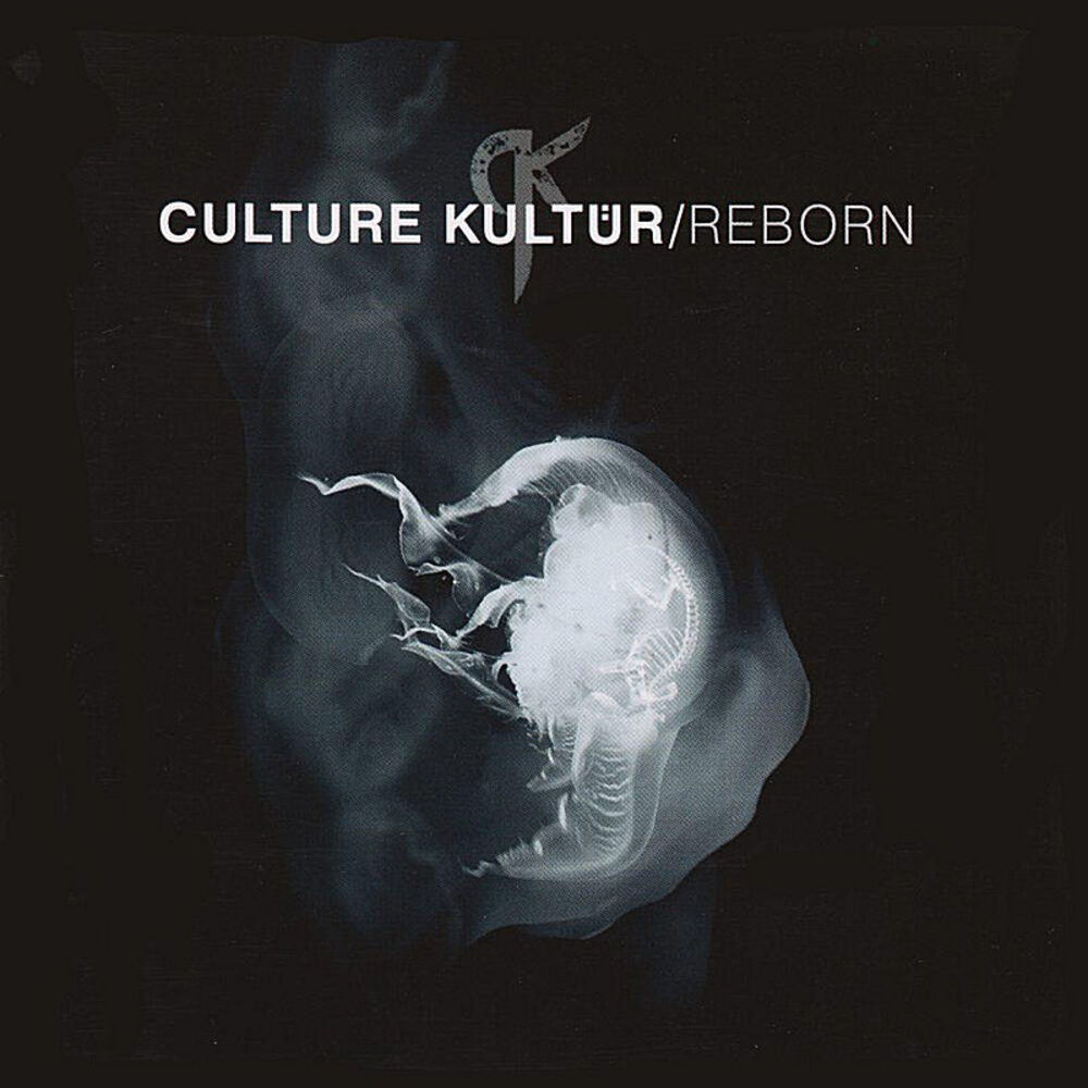 Picture of Reborn