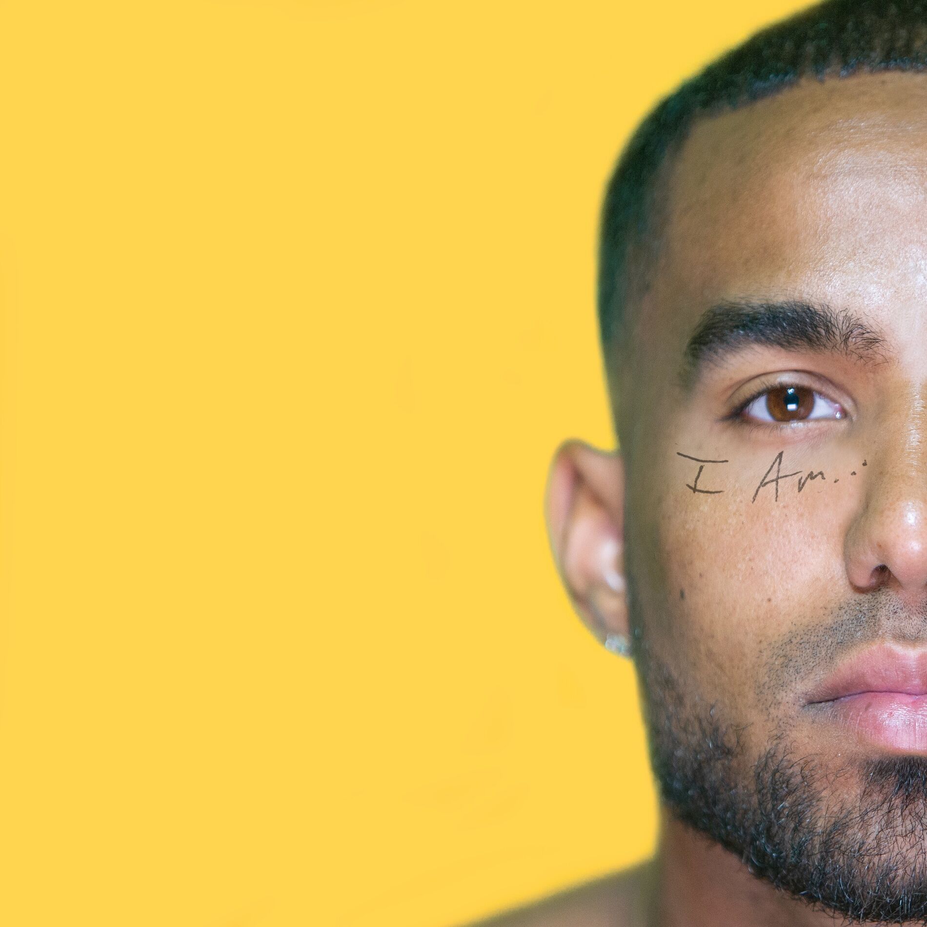 Album cover of Gut Puncher (feat. Andy Mineo)