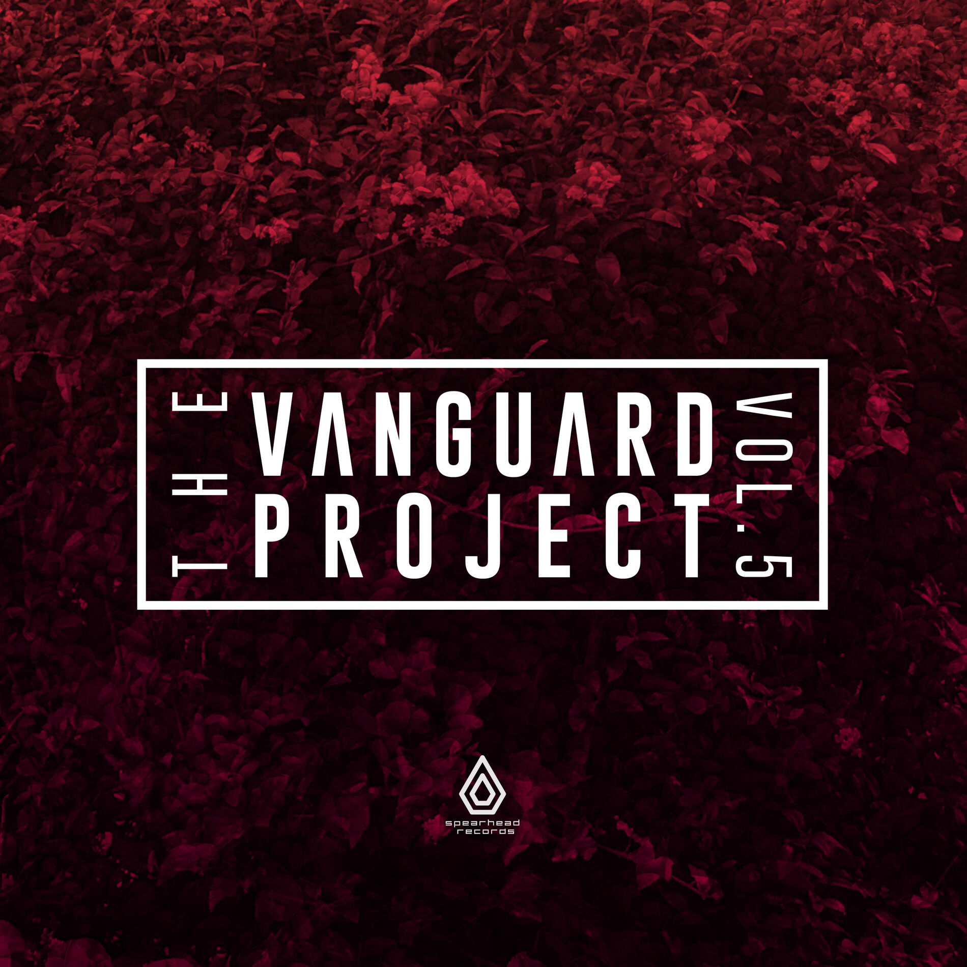 Album cover of The Vanguard Project, Vol. 5