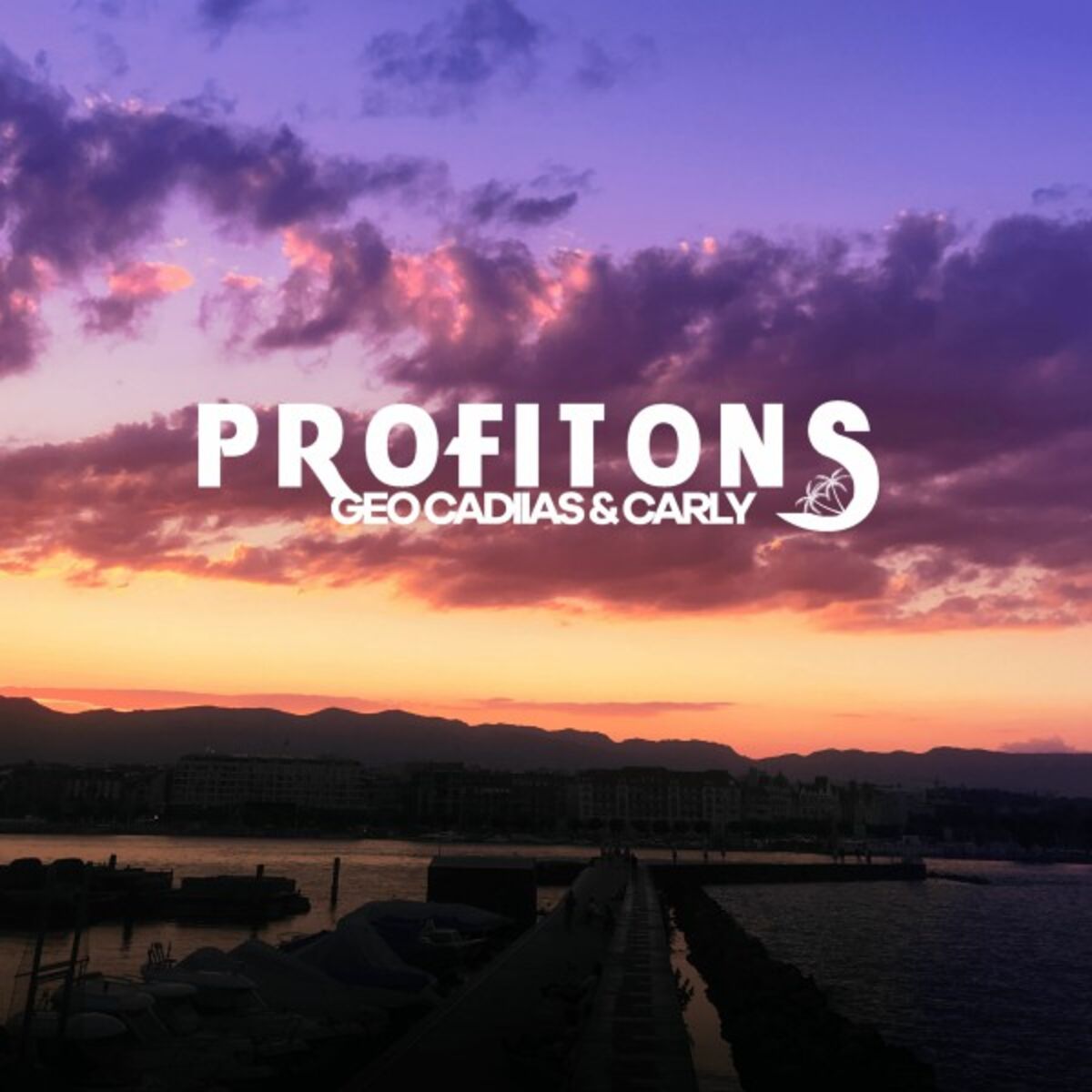 Album cover of Profitons