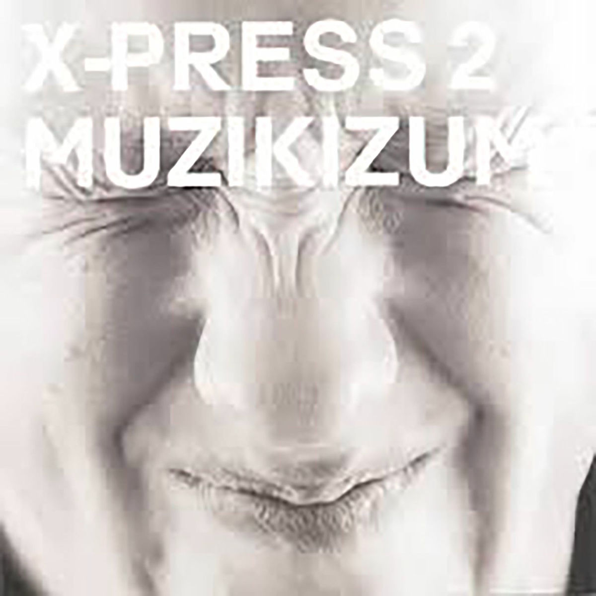 Album cover of Muzikizum