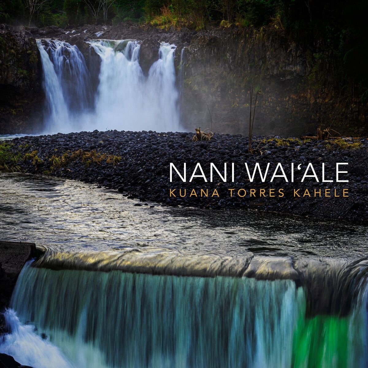 Album cover of Nani Wai'ale