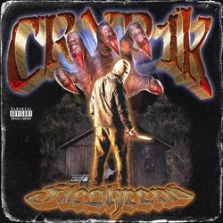 Cover of FLESHREND