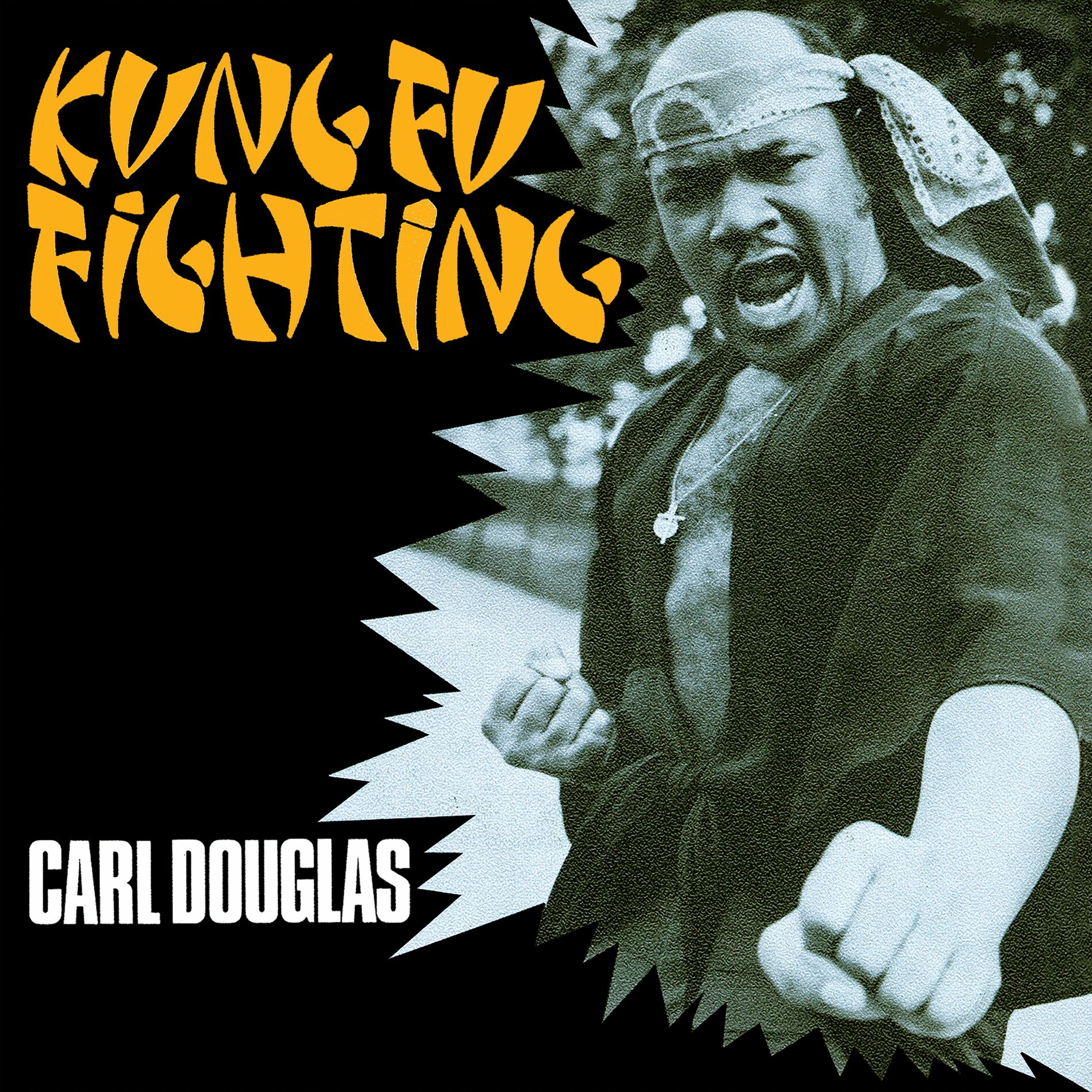 Album cover of Kung Fu Fighting