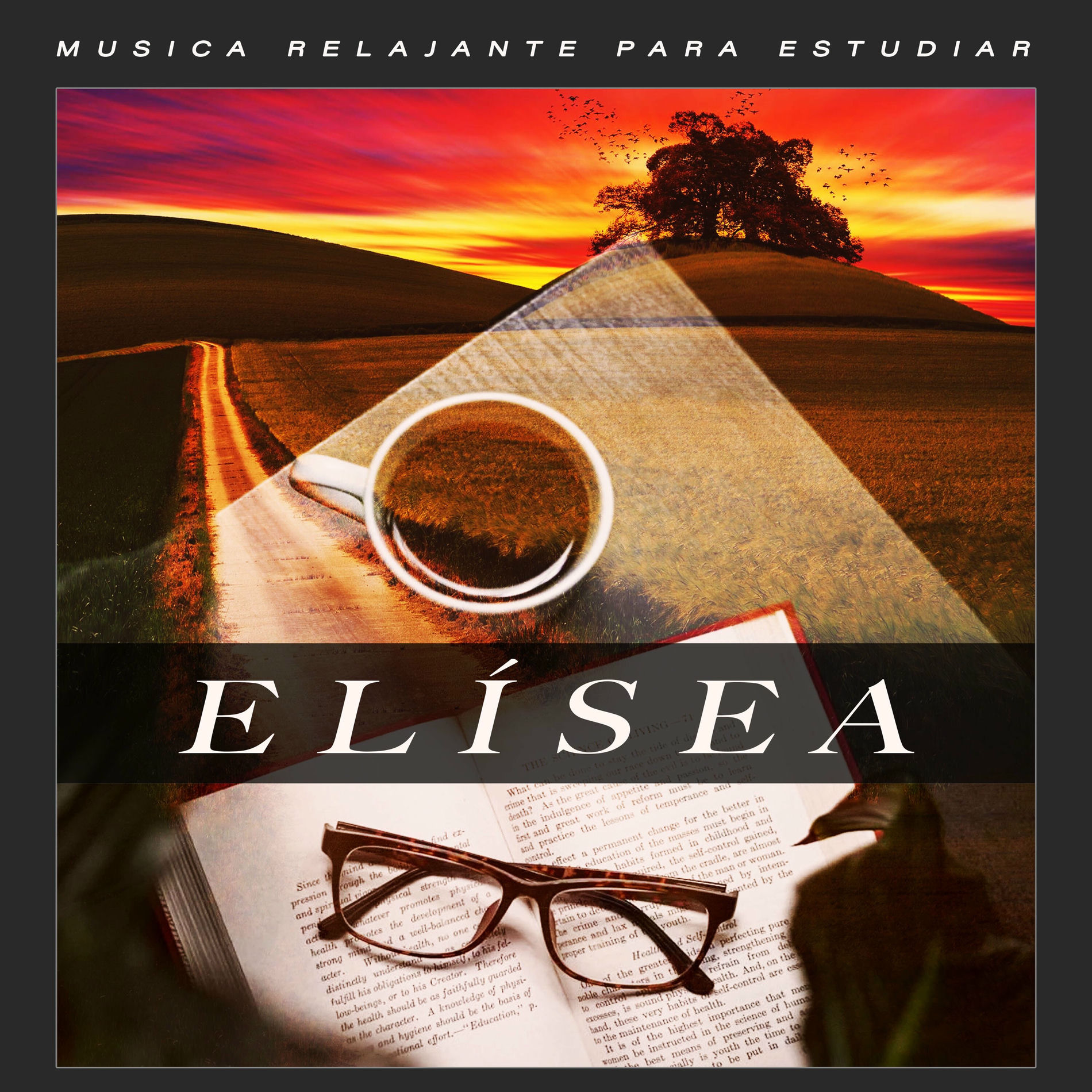Album cover of Elísea