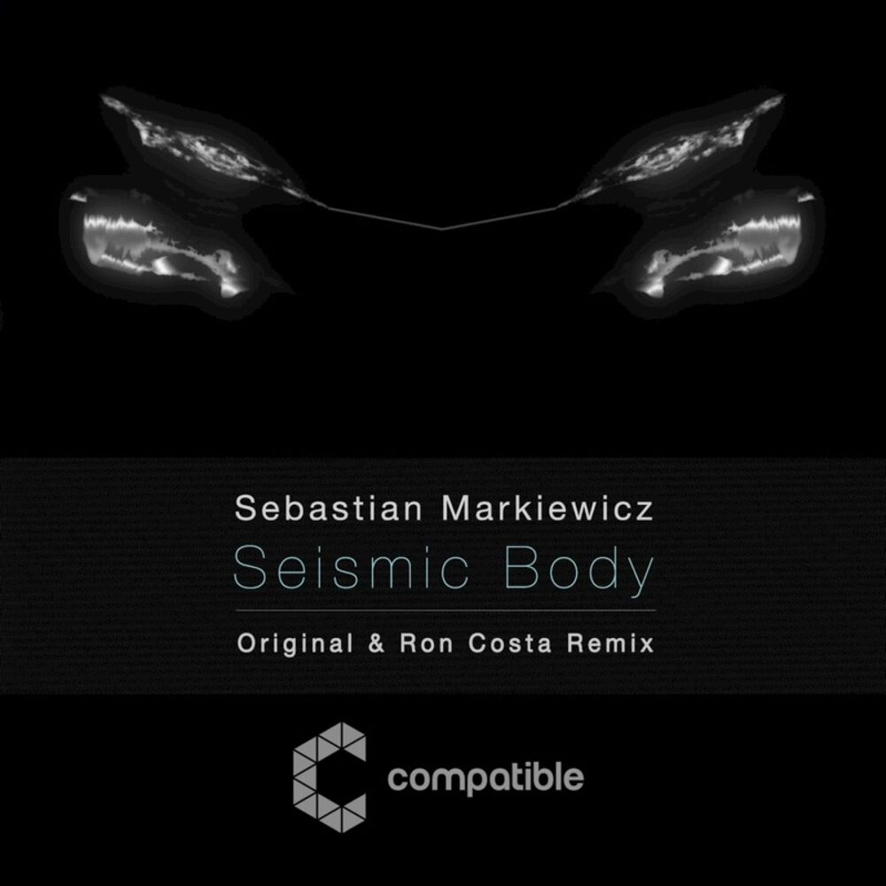 Picture of Seismic Body