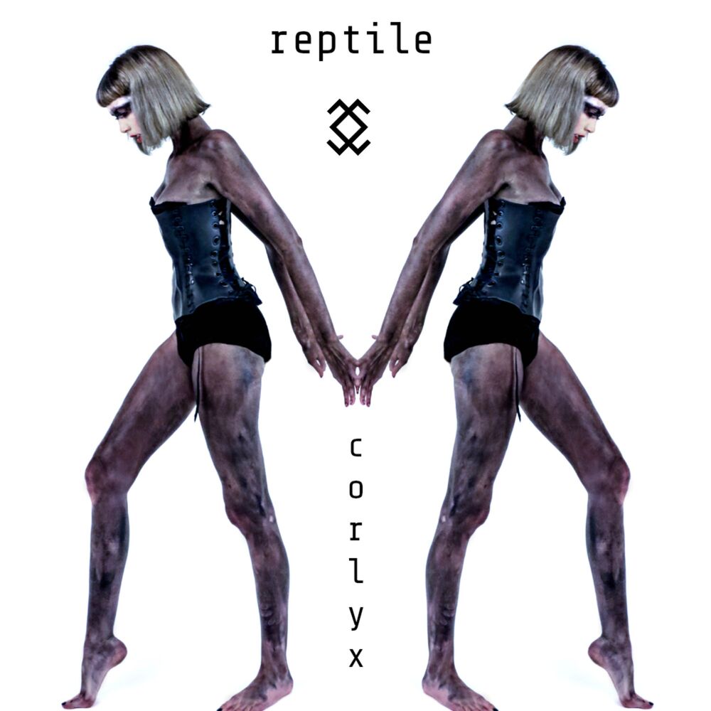 Picture of Reptile