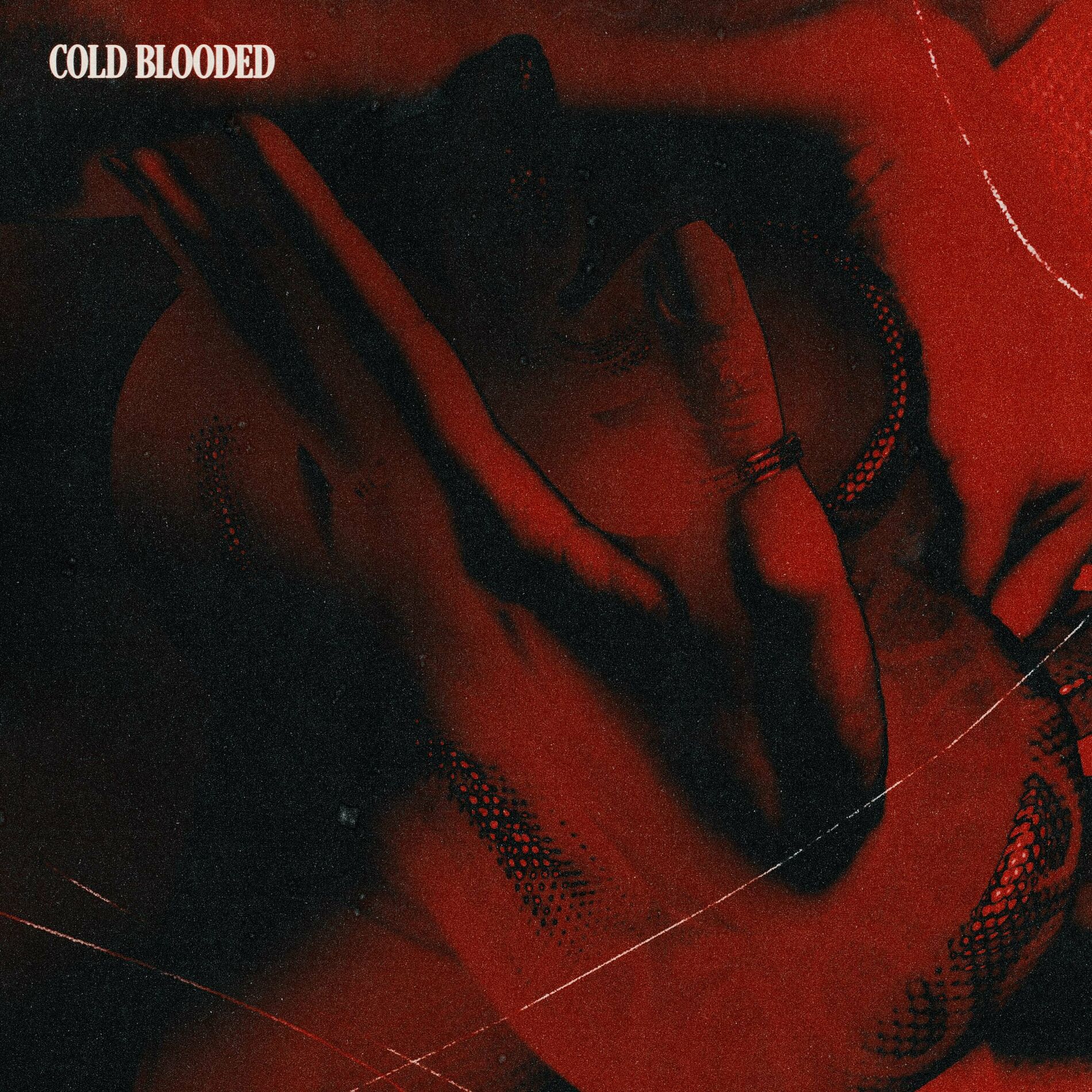 Album cover of COLD BLOODED