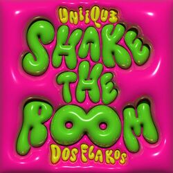 Cover of Shake The Room