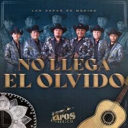 Cover of No Llega El Olvido