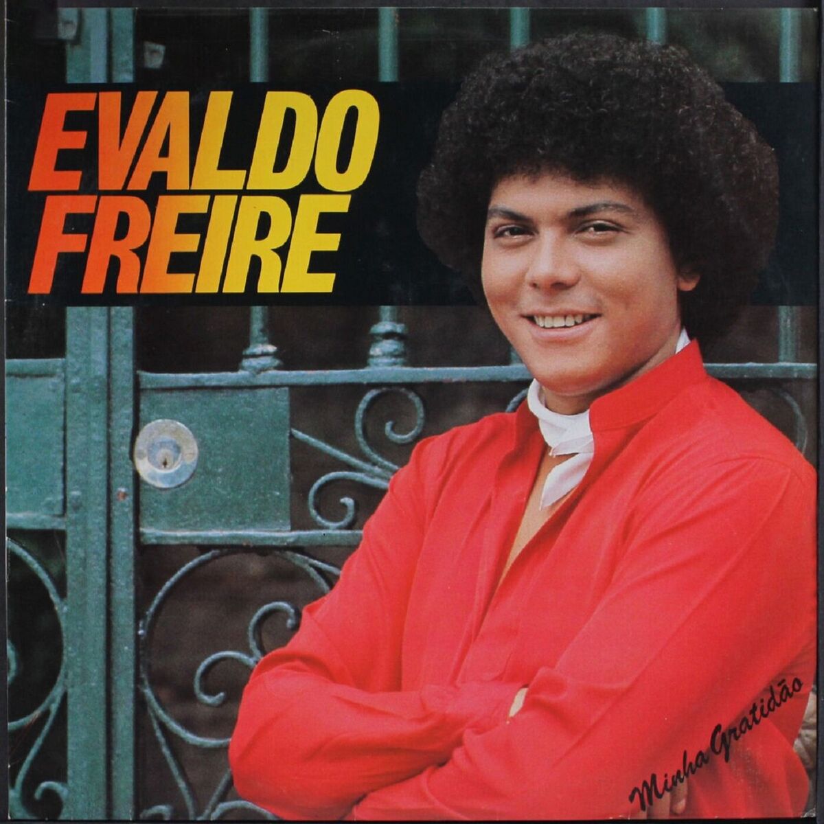 Album cover of Minha Gratidão