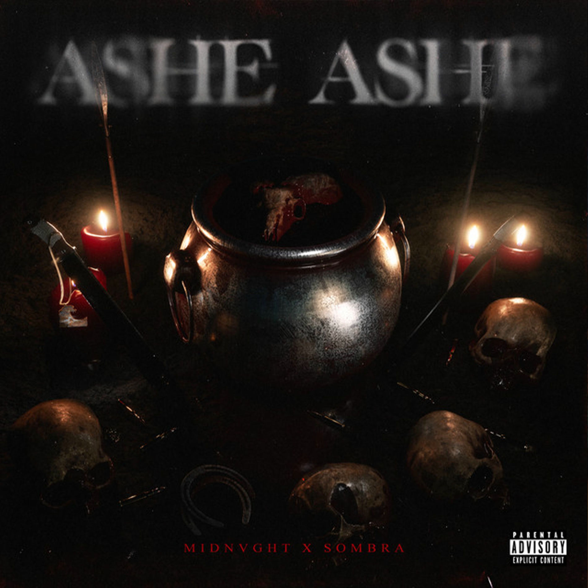 Album cover of Ashe Ashe
