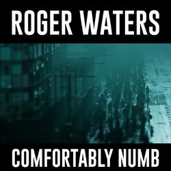 Cover of Comfortably Numb 2022