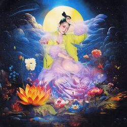 Cover of This Skin