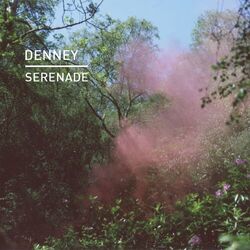 Cover of Serenade